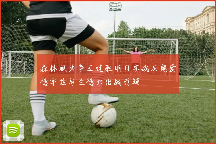 森林狼力争五连胜明日客战灰熊爱德华兹与兰德尔出战存疑